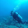 Picture taken during the dive