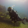 Picture taken during the dive