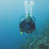 Picture taken during the dive