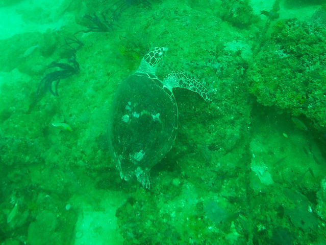 Extra Divers Oman Muscat - Dive Center in Oman