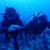 Picture taken during the dive
