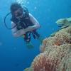 Picture taken during the dive