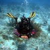 Picture taken during the dive