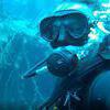 Picture taken during the dive