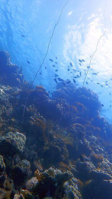 Scubaqua Dive Center - Dive Center