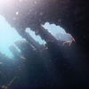Picture taken during the dive
