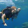 Picture taken during the dive