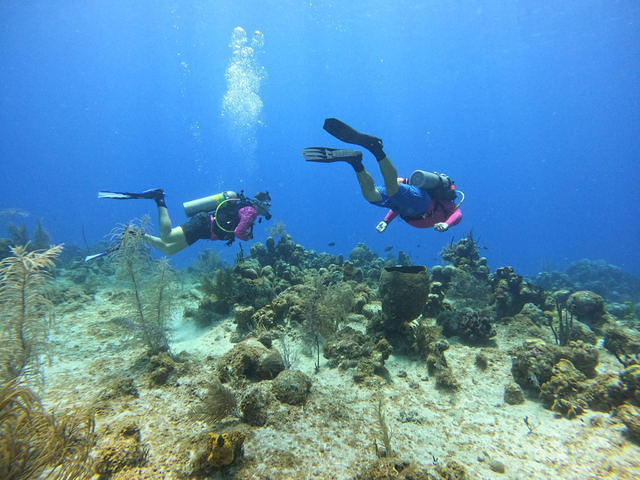 Divetech, Ltd. - Dive Center in Îles Caïmans