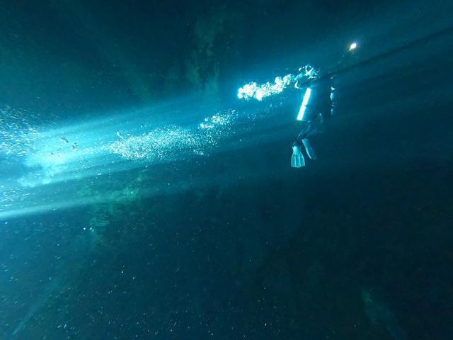 Diversity Scuba - Dive Center in United States
