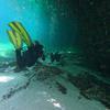 Picture taken during the dive