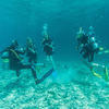 Picture taken during the dive