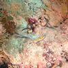 Picture taken during the dive