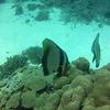 Picture taken during the dive