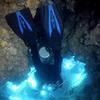 Picture taken during the dive