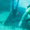 Picture taken during the dive