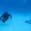 Picture taken during the dive