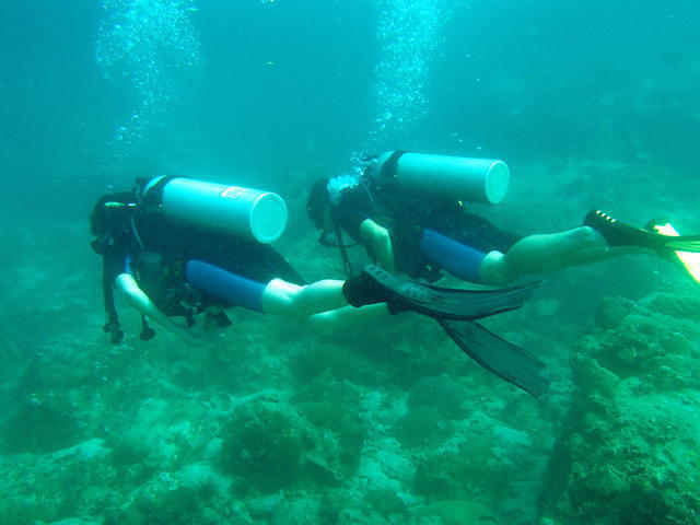 Eco Sea Dive & Bungalows - Dive Center in Camboya