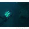 Picture taken during the dive