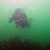 Picture taken during the dive