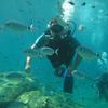 Picture taken during the dive