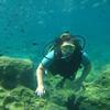 Picture taken during the dive