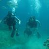Picture taken during the dive