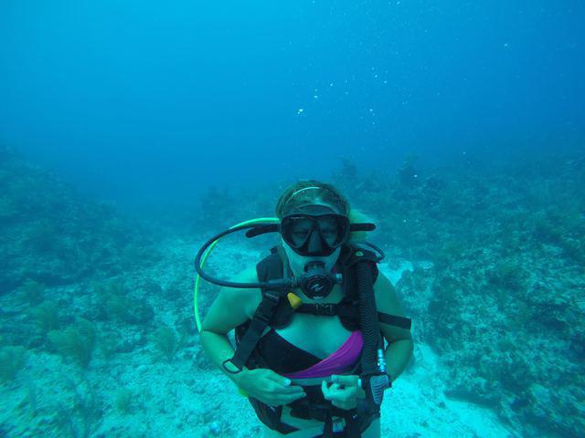 Tortuga Divers, Ltd. - Dive Center in Îles Caïmans